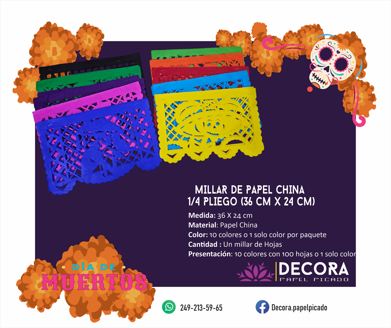 Página 14