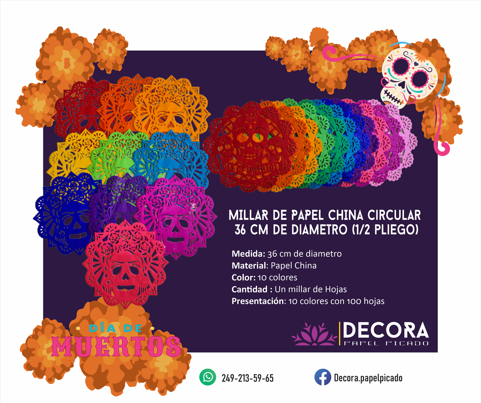 Página 15