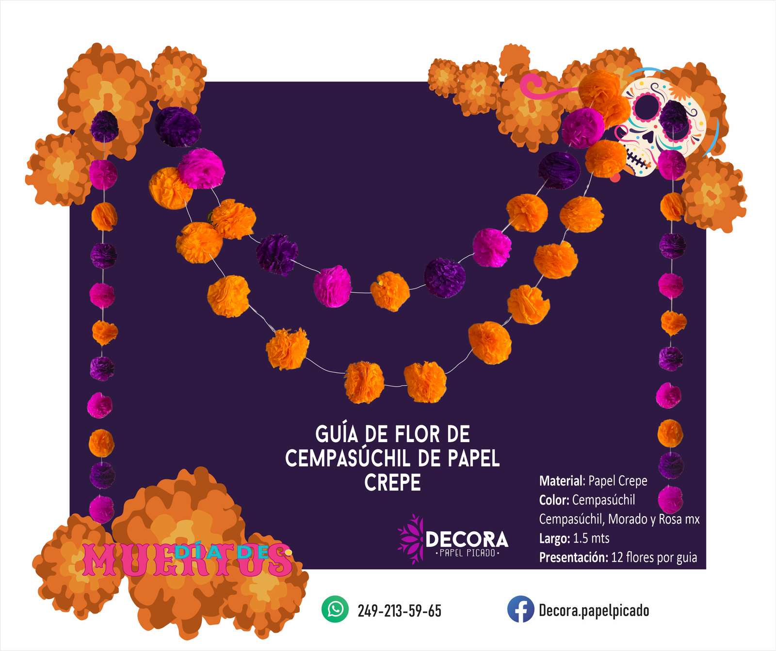 Guia de flor de Cempasuchil